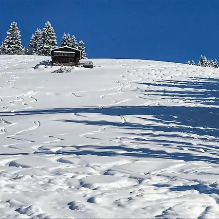 Daire Almchalet Zillertal-3 By Interhome *